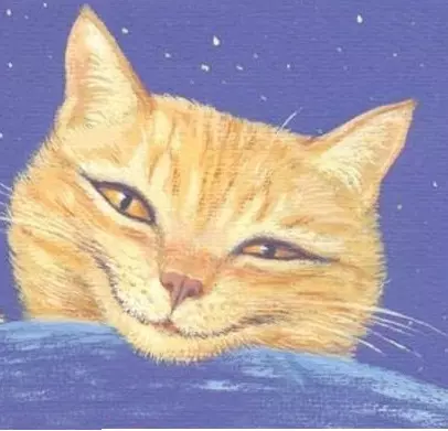 Данила, 27 лет, Санкт-Петербург — профиль пользователя Limera