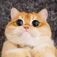 Стася, 23 лет, Рязань — профиль пользователя Limera