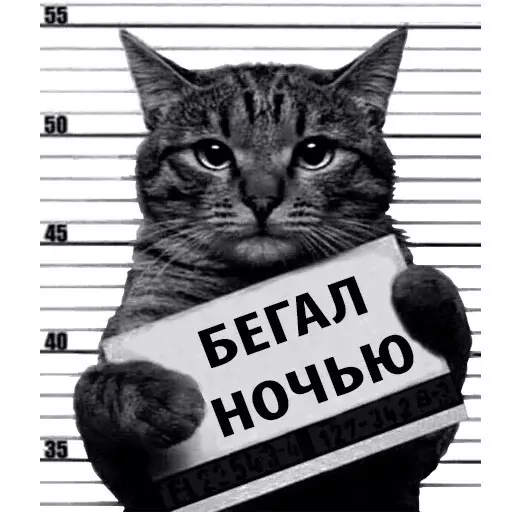 Юрий, 41 лет, Москва — профиль пользователя Limera