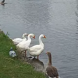 Фото профиля пользователя Юлия