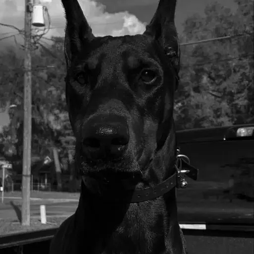 Анна , 24 лет, Нижний Новгород — профиль пользователя Limera