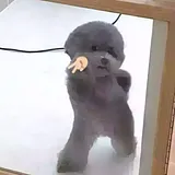 Фото профиля пользователя Екатерина 