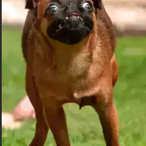 Тимофей, 15 лет, Санкт-Петербург — профиль пользователя Limera