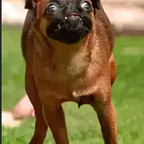 Фото профиля пользователя Тимофей