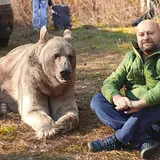 Фото профиля пользователя Сергей