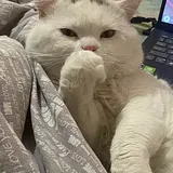 Лиля, 32 лет, Иркутск — профиль пользователя Limera