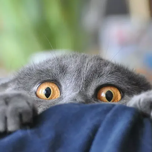 Аня, 22 лет, Санкт-Петербург — профиль пользователя Limera